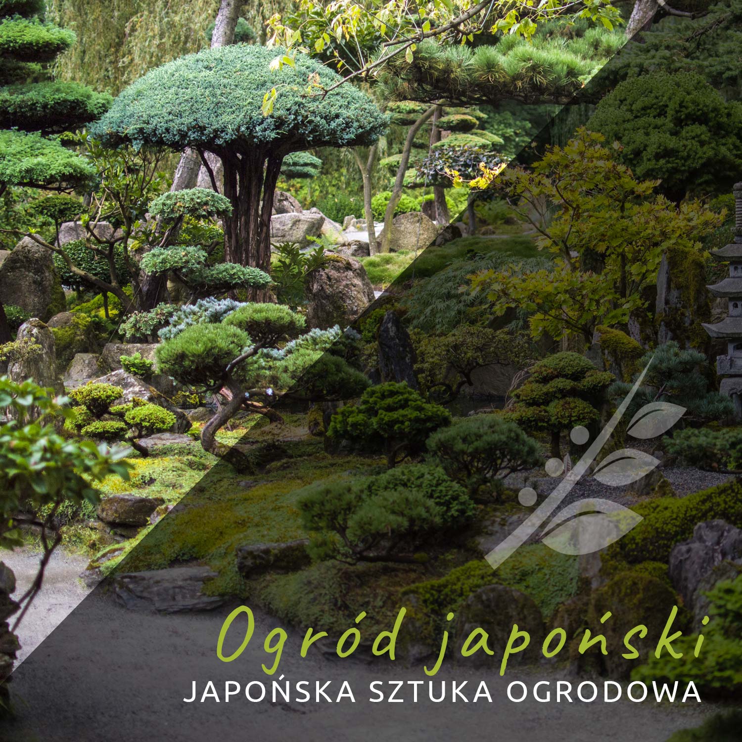 Ogród japoński. Japońska sztuka ogrodowa.