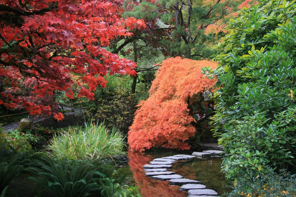 Ogród japoński. Japońska sztuka ogrodowa.