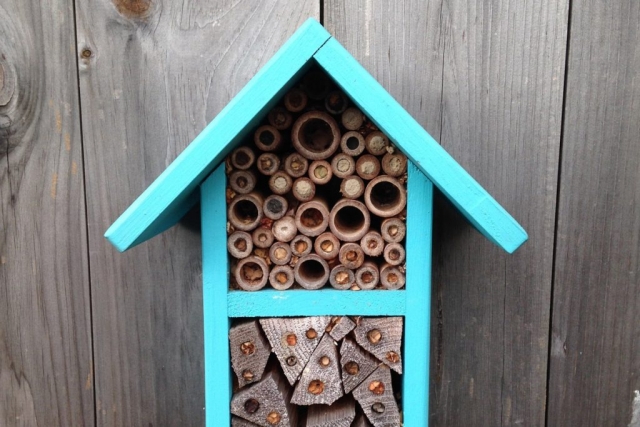 Domek dla pszczół w ogrodzie | Białystok